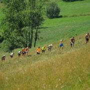 Mistrzostwa Zakopanego w biegach pod górę 2021